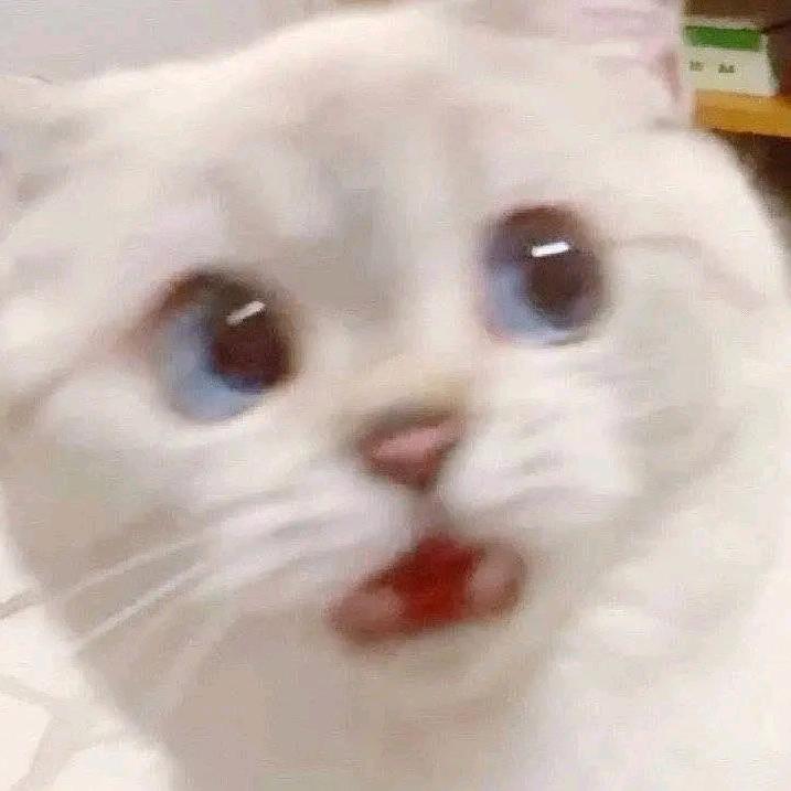 羿王府的席九宸头像