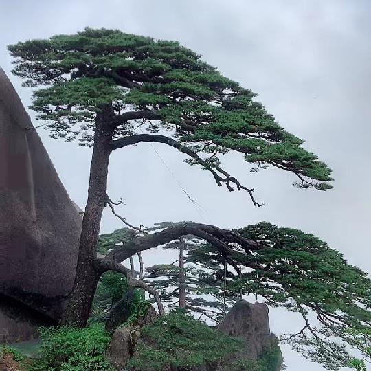 岁月无痕
