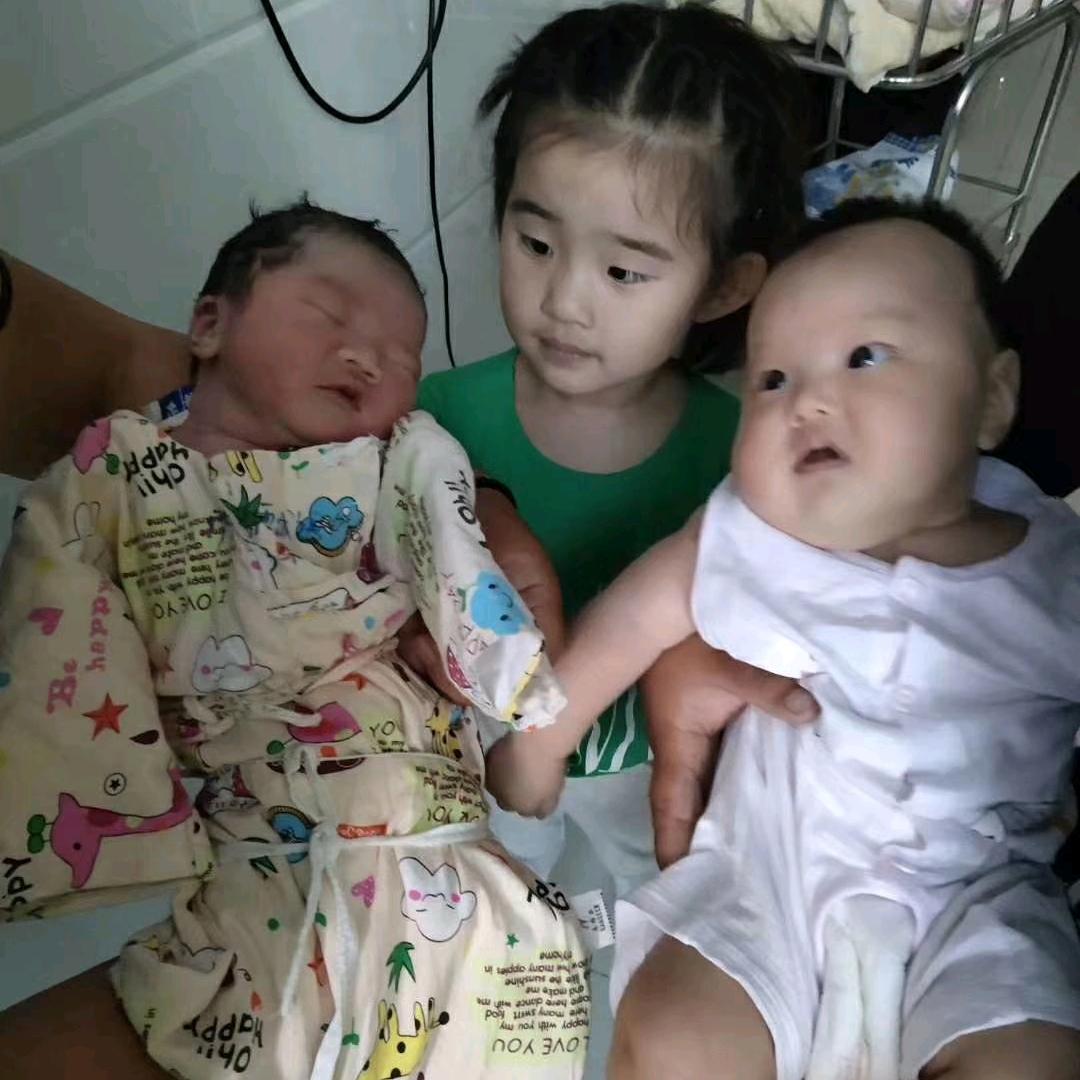 杨红梅