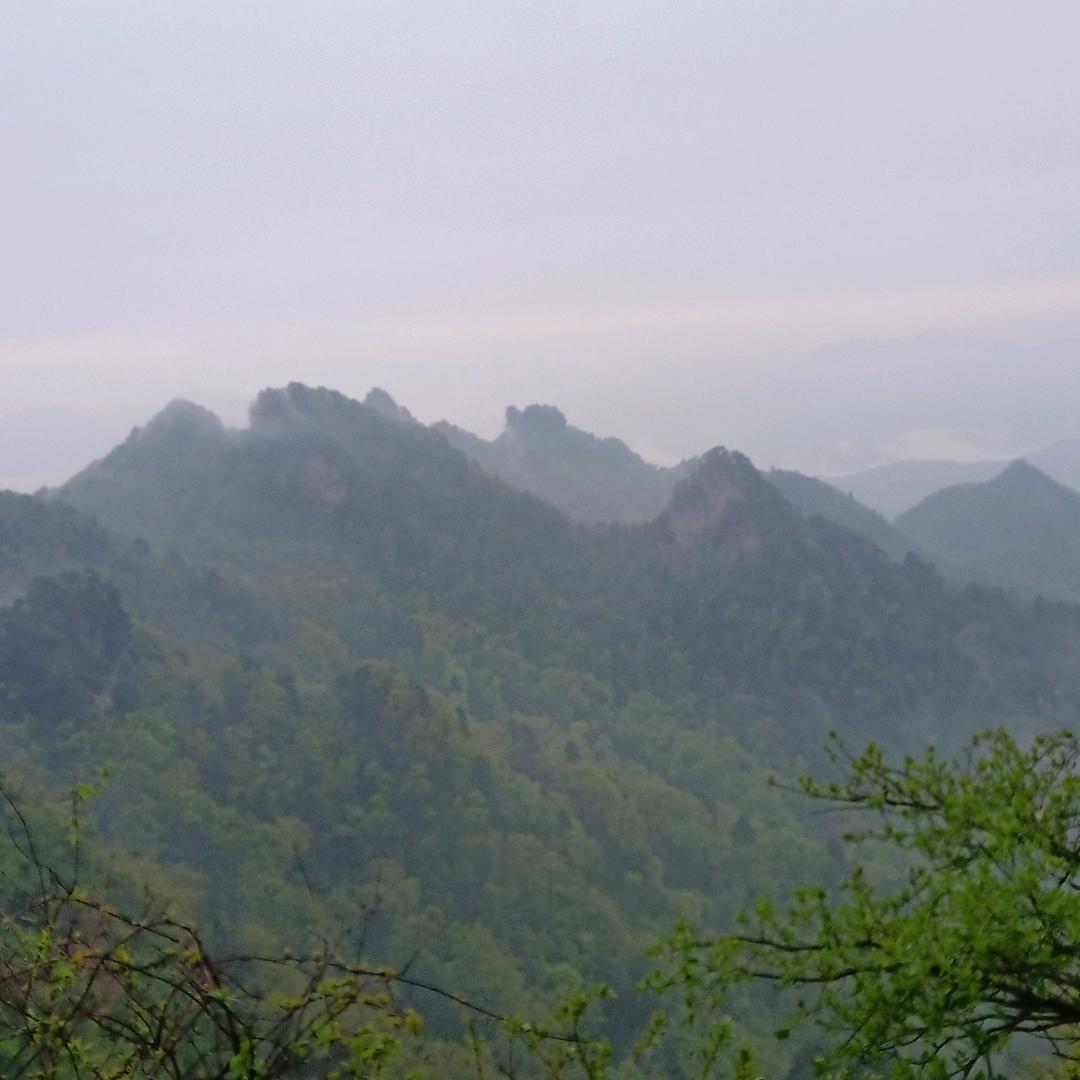 🇨🇳🇨🇳魏新华