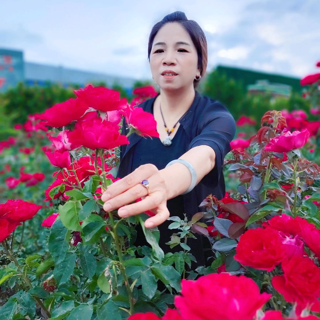 杨辉艳