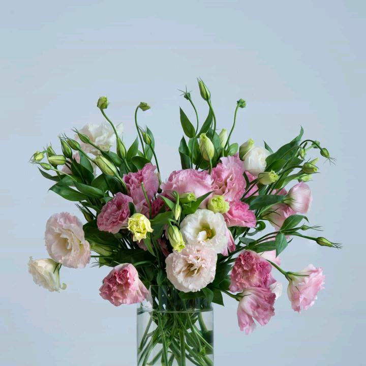 托起明天的希望