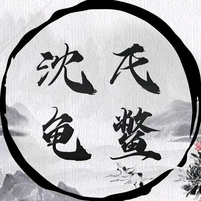 沈氏龟鳖希希龟宠
