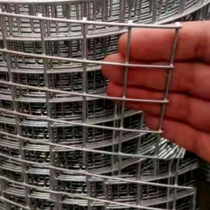 崇森安平县崇思丝网制品有限公司园艺专卖店