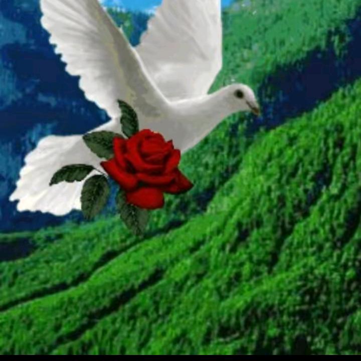 umuT