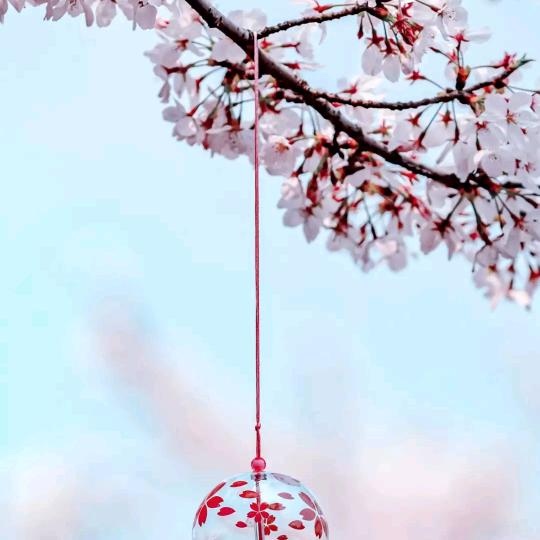 我一定会成功的！