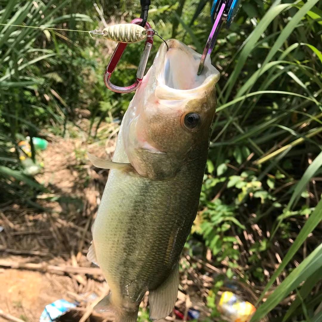 骨灰级钓手  小欧