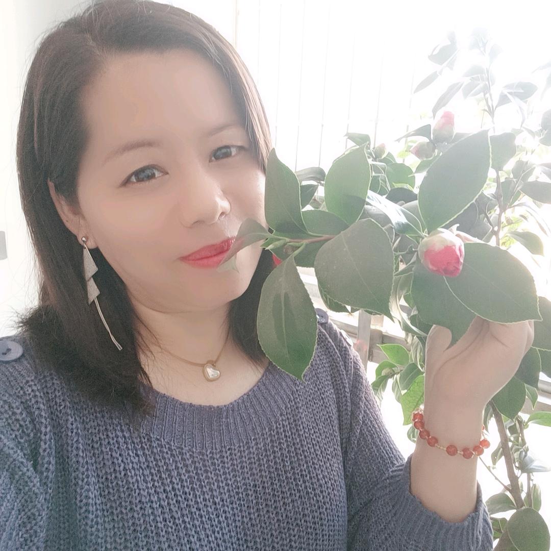 燕掌柜（橱窗好物分享）