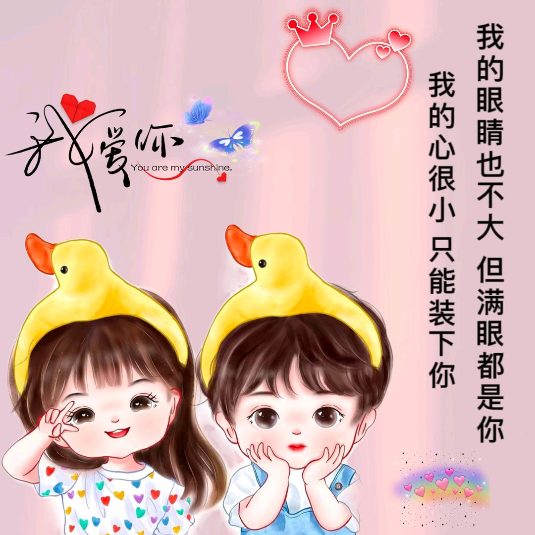 独宠心儿