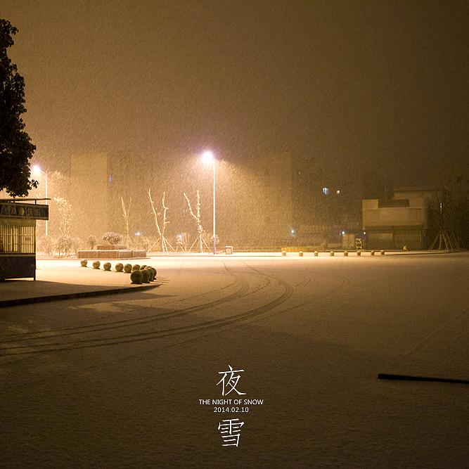 夜月凌雪