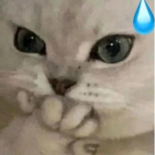 @蔚来可期