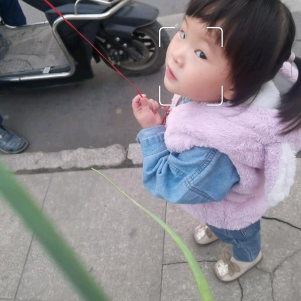 自由飞翔