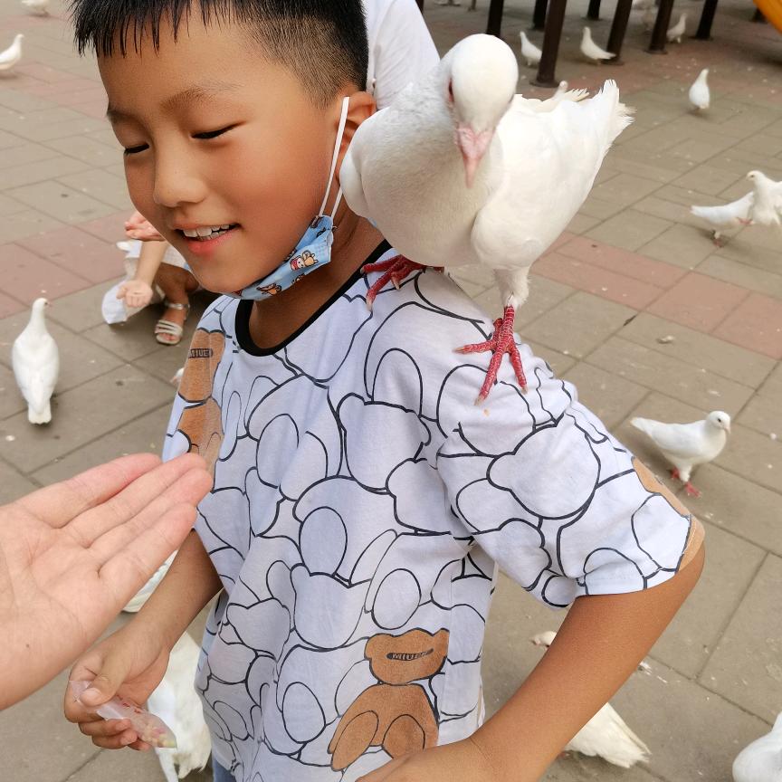 刘蓓蓓