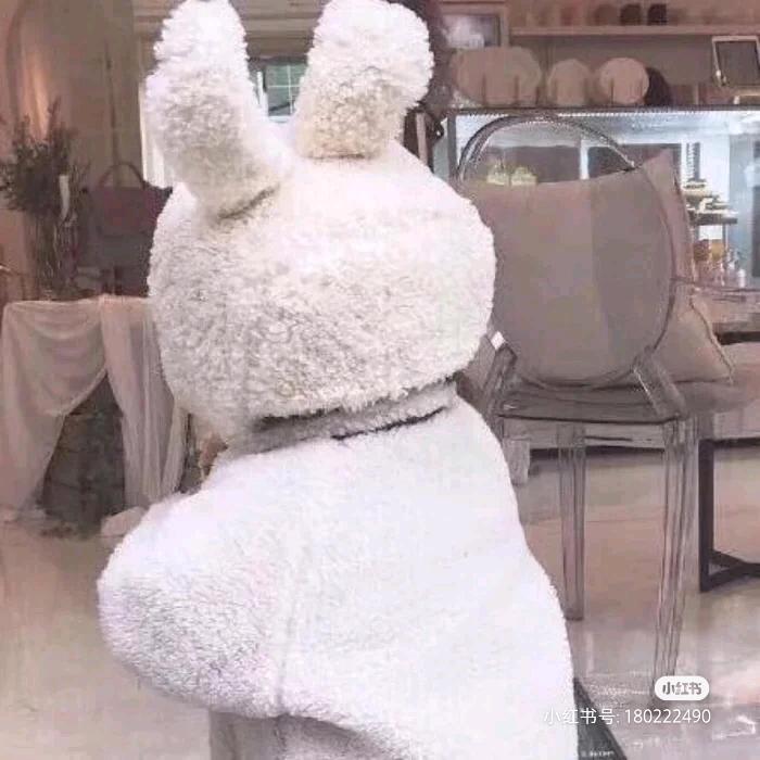 一瓣桔子