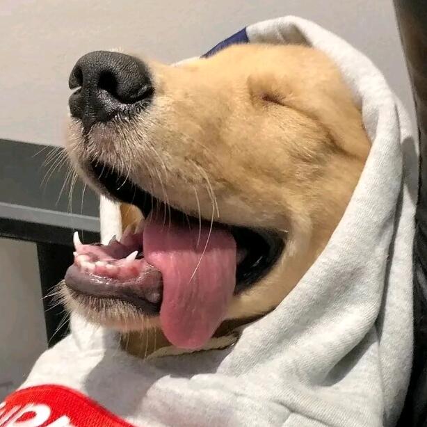 小郝的科普日常@抖音