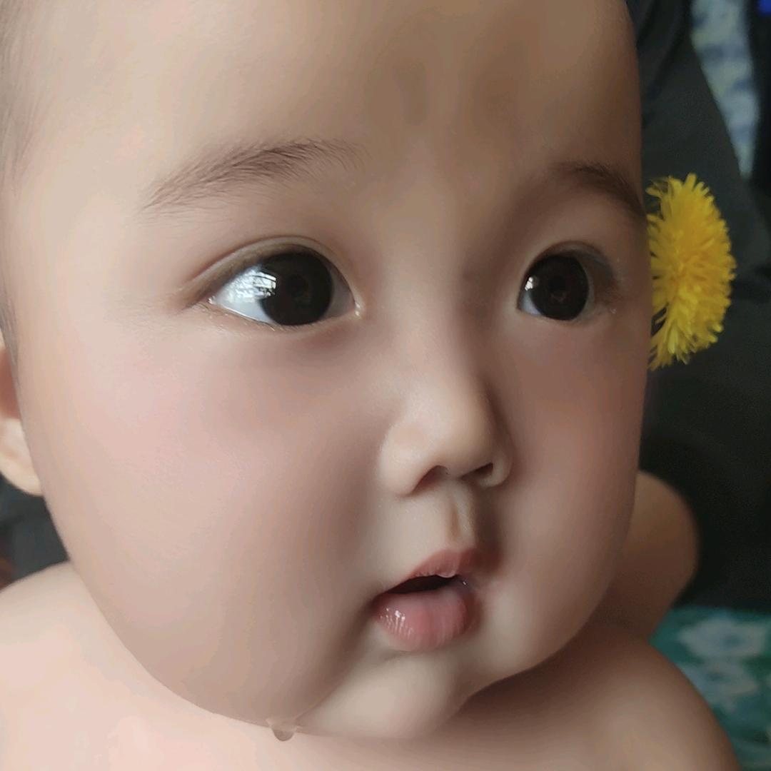 硕宝的成长日记