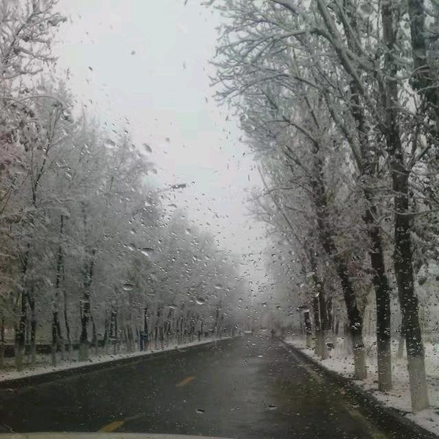 丁哥