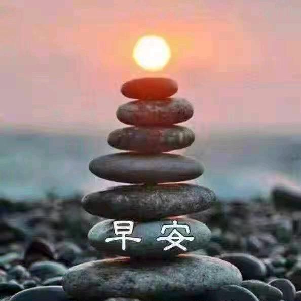 陶哥