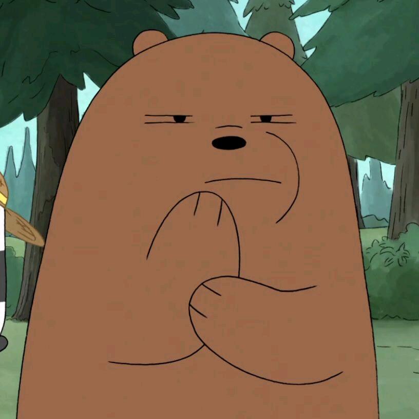 Ice bear