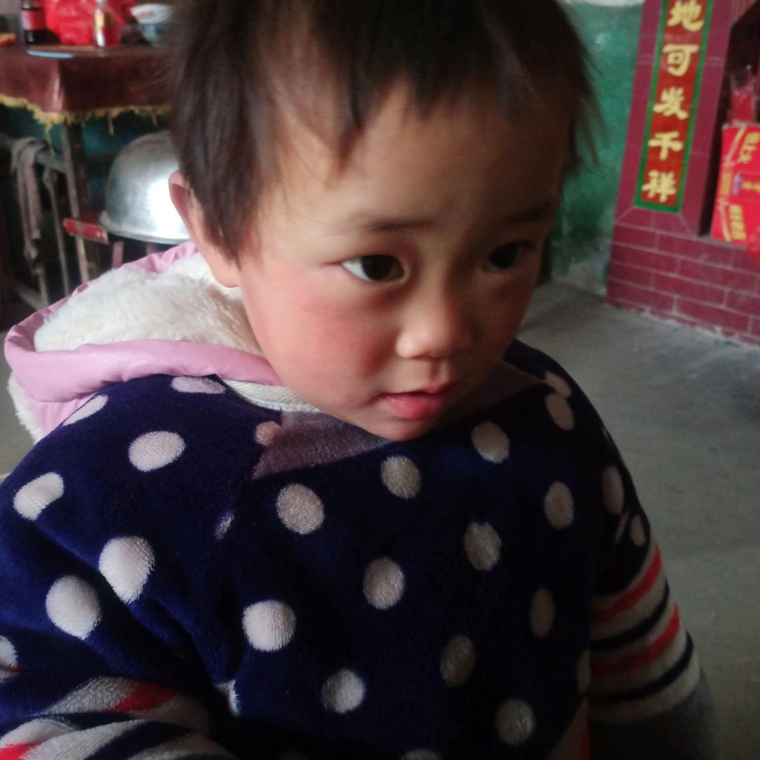 单身的鱼