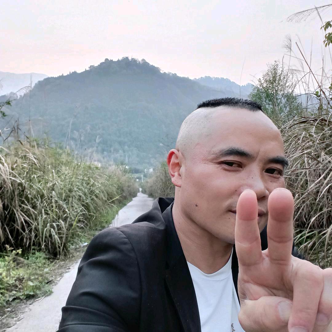 自由飞翔，洞见！