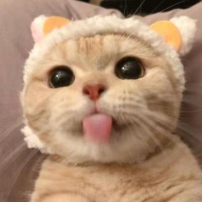 ☀爱喝酸奶的牛