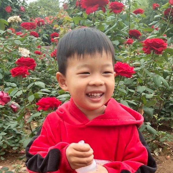 阳光下的海洋