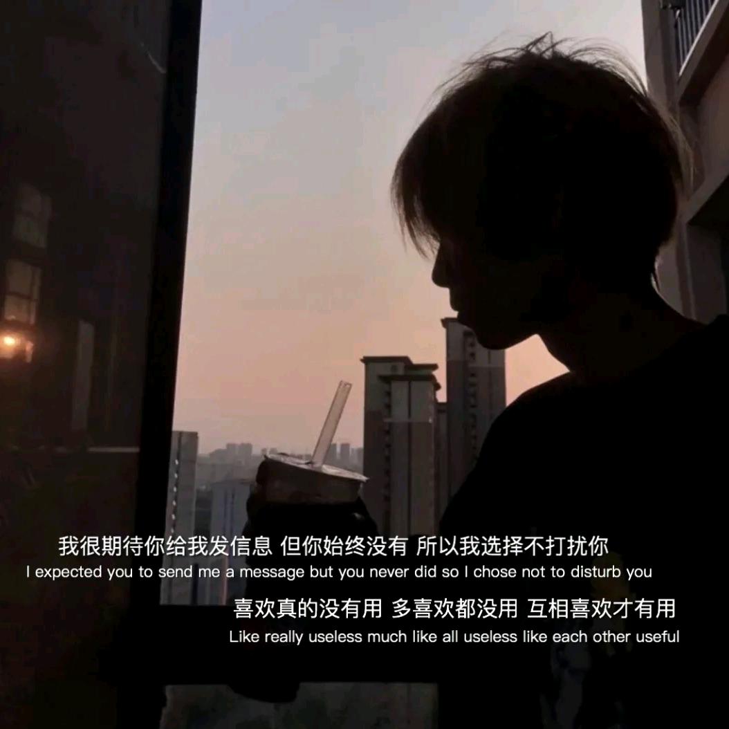云畔雾隐花