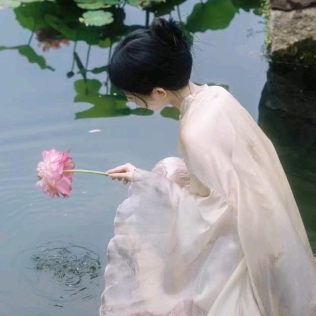 华祥苑国宾茶•国锐金嵿店