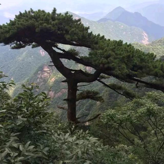 今天:明天