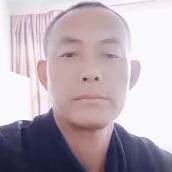 张金