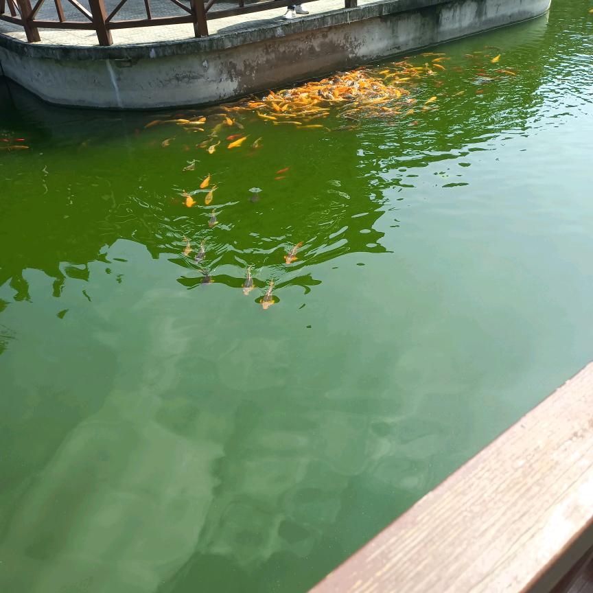 天马行空