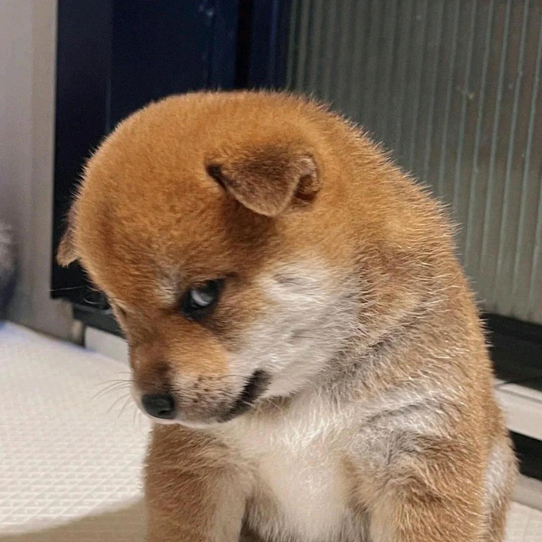 一块大腹肌🤪