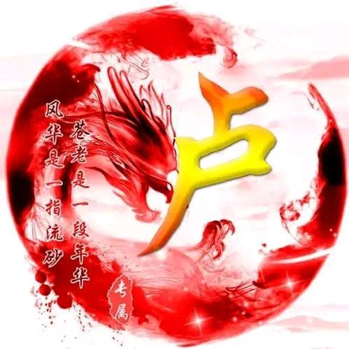 🌾 卢你所愿🌱