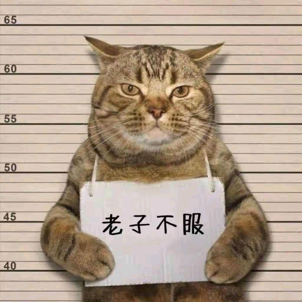 小朱快递员⚽️