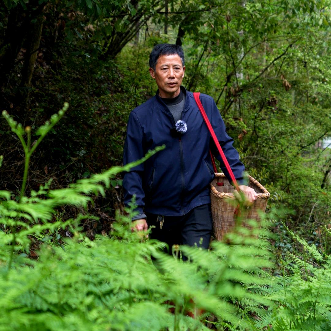 老高的乡村生活