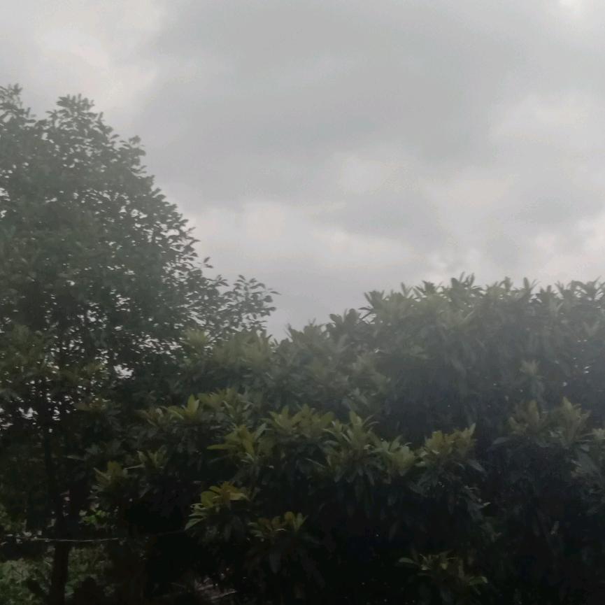 用户21201819650511522