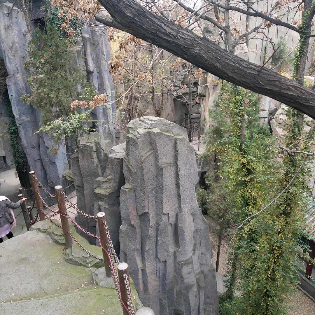 真诚