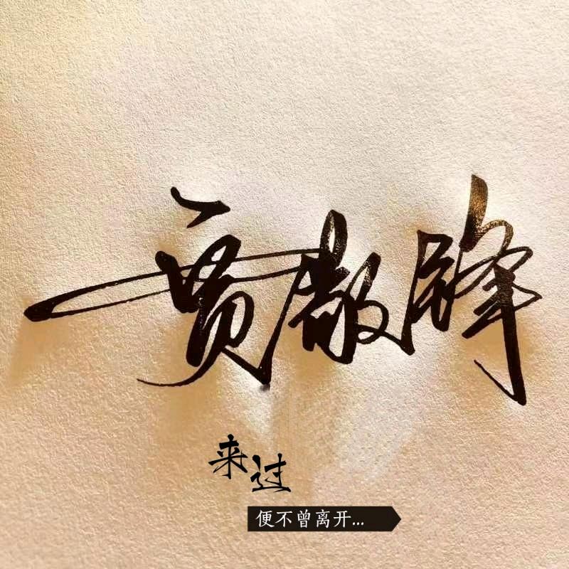 贾小贾