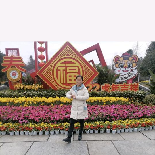 爱玲