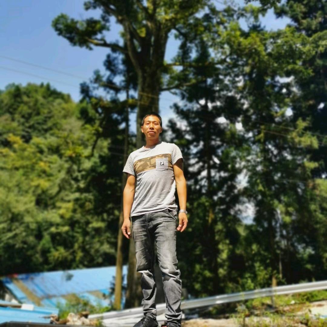 王军(药材种植)