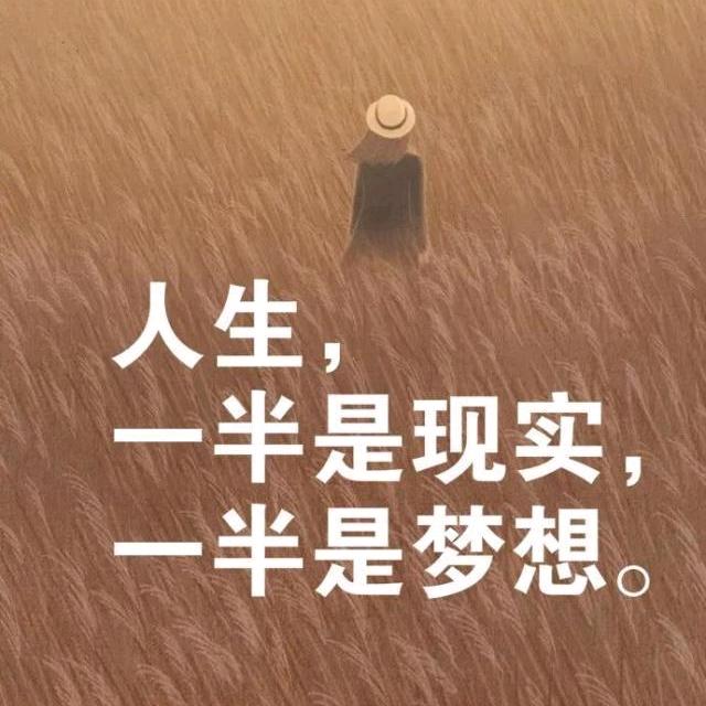 种下美好