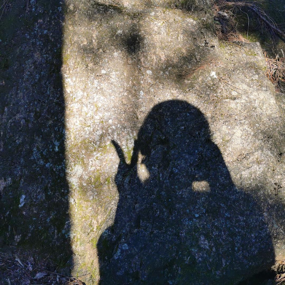 静静地坐在墙角