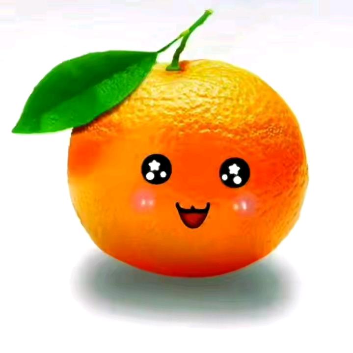 。。。。。。。。。。