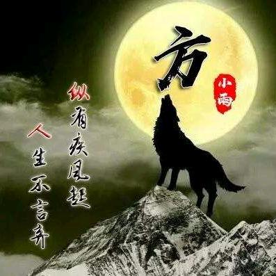 心随浪动