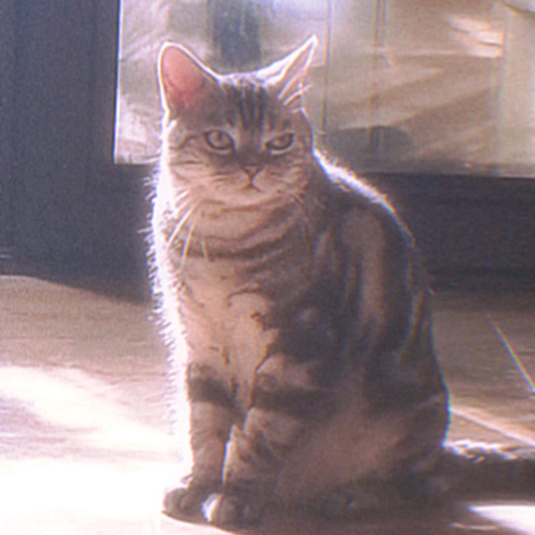 🌈🌈🌈兀自可爱