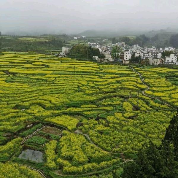 夕阳与远方