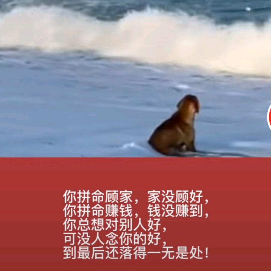 掟煲唔掟盖