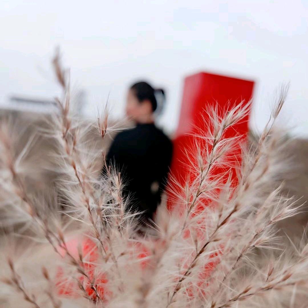 老虾农和大脸妹