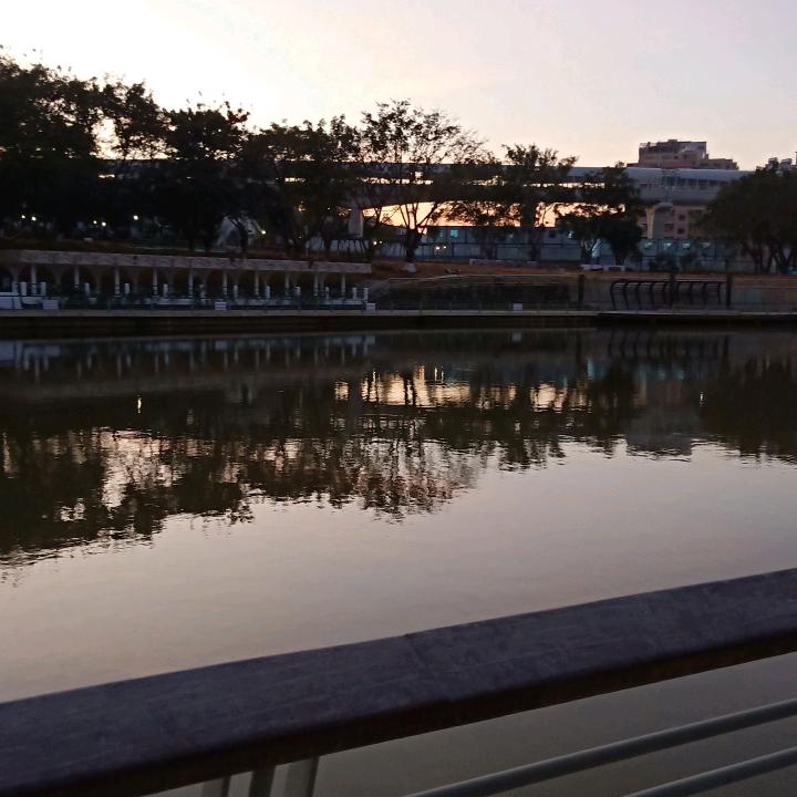 伽